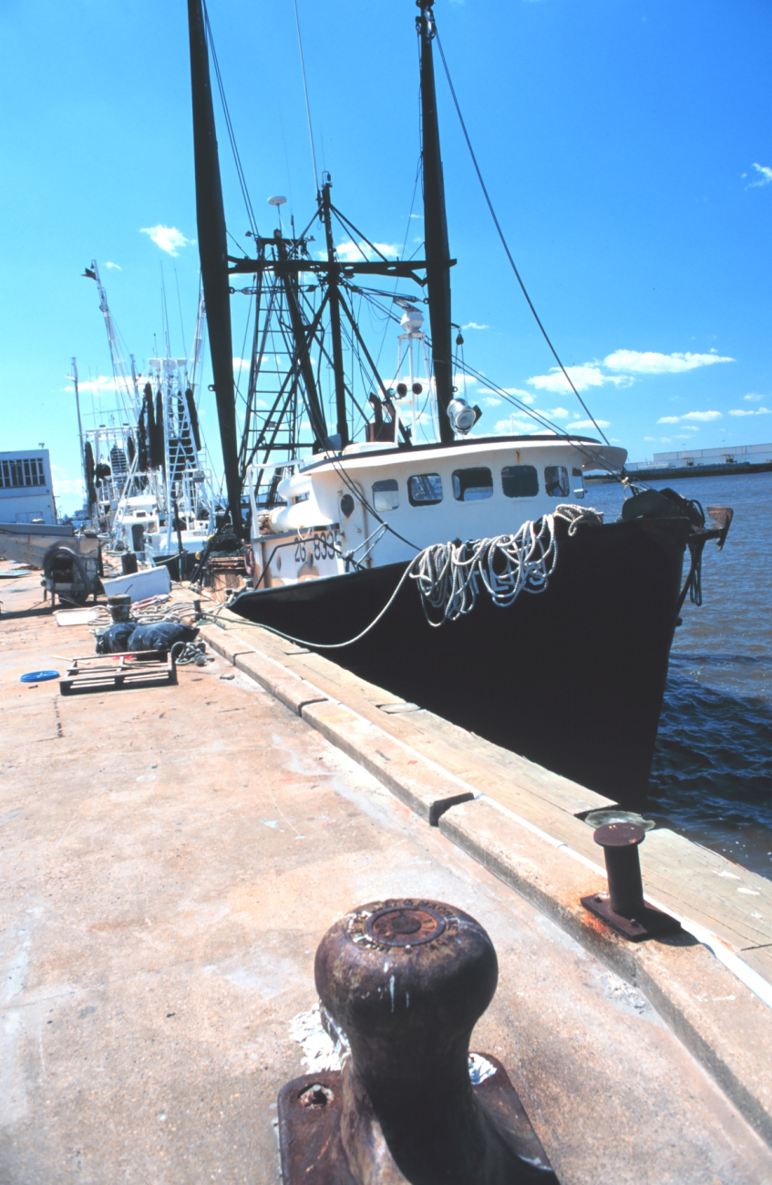 A few of the Gulf of Mexico Croaker boats