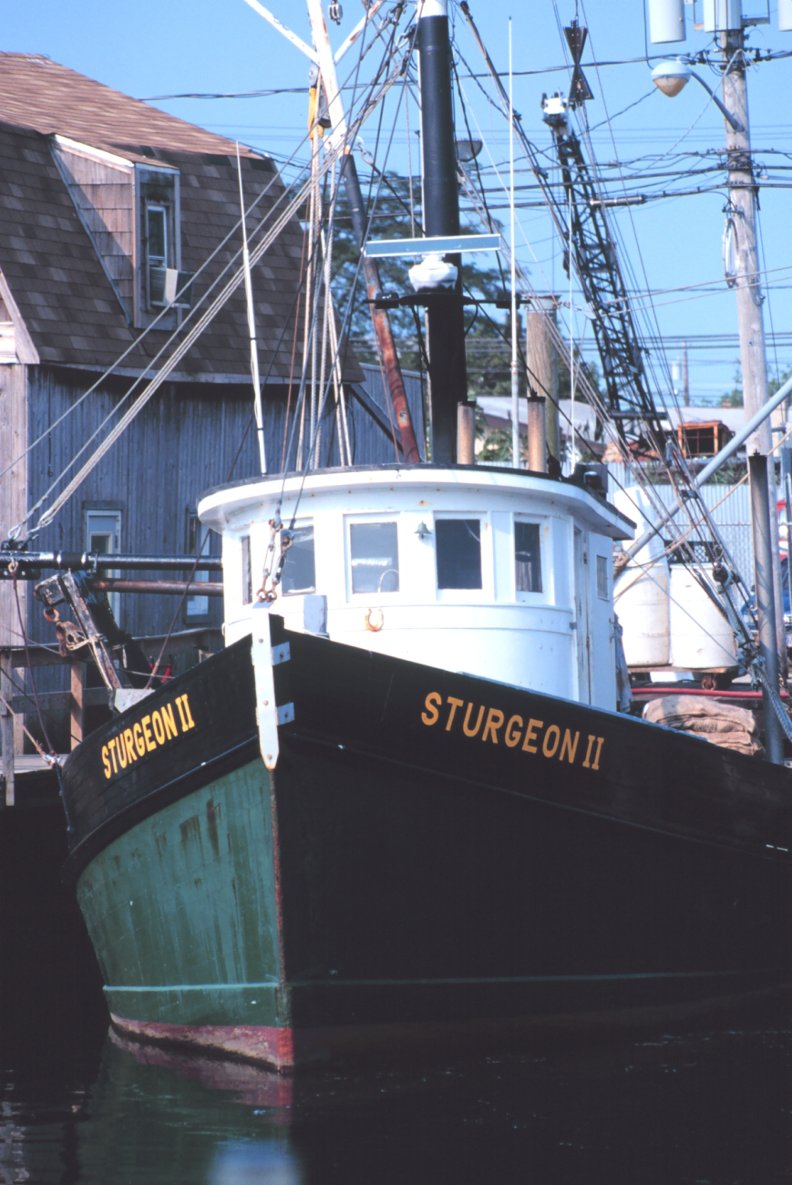 The clam boat F/V STURGEON II on Woodcliff Canal