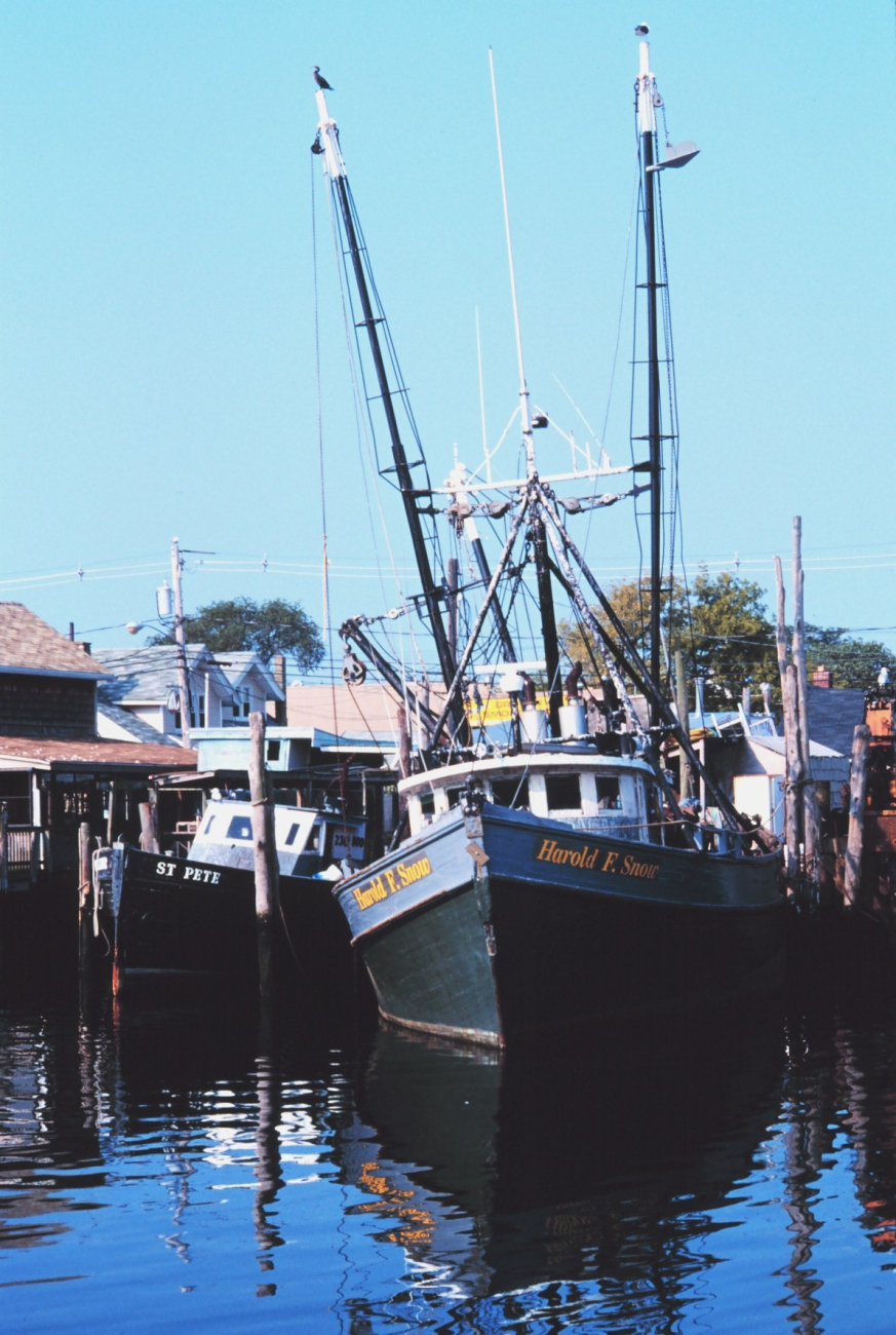 The clam boat F/V HAROLD F SNOW on Woodcliff Canal