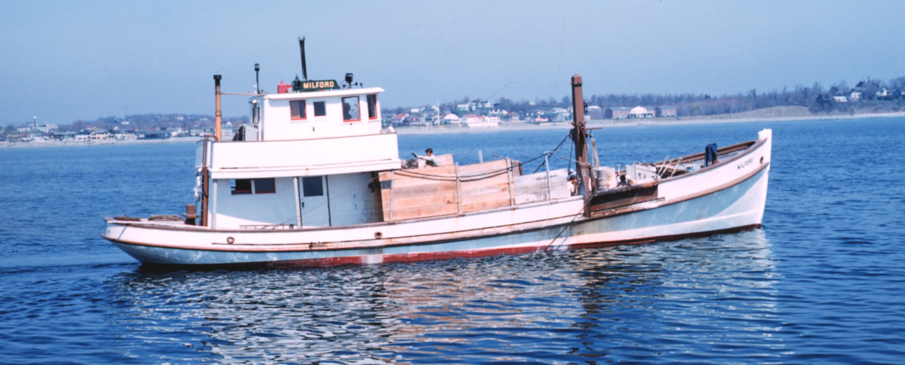 An oyster boat dredging