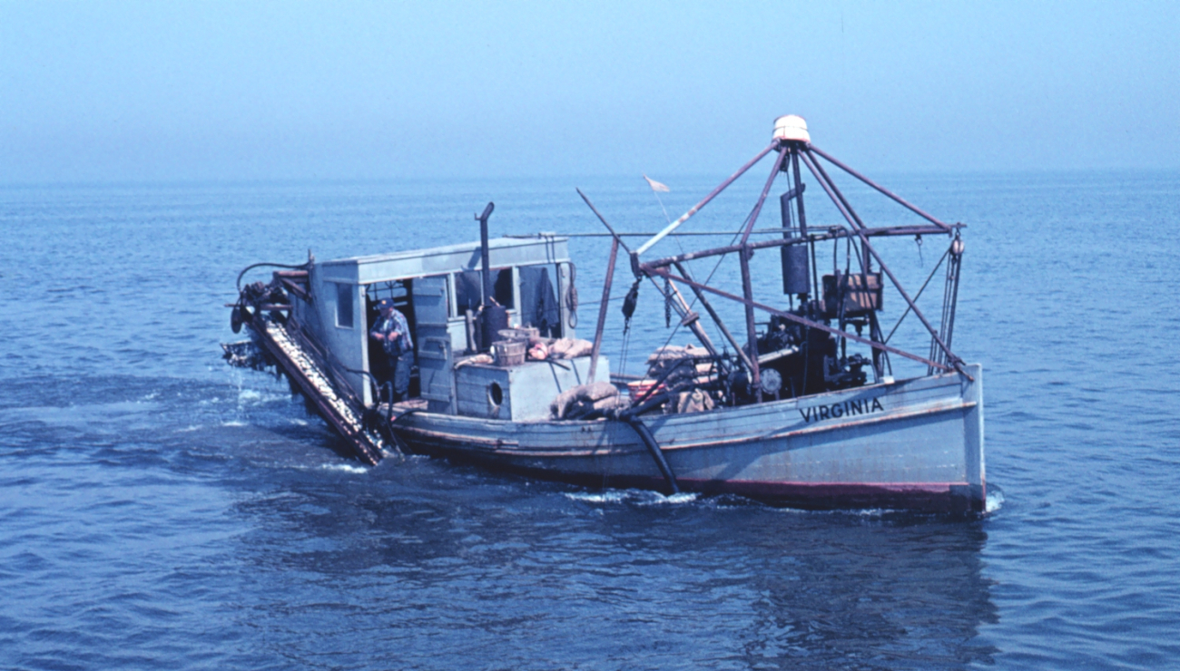 A clam dredge operating on Great South Bay