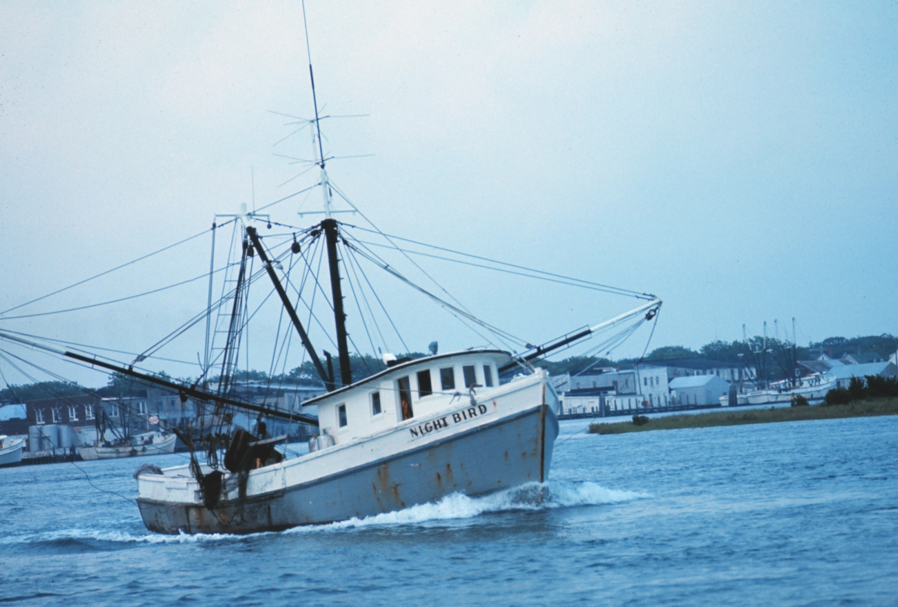 A shrimp boat in the harbor