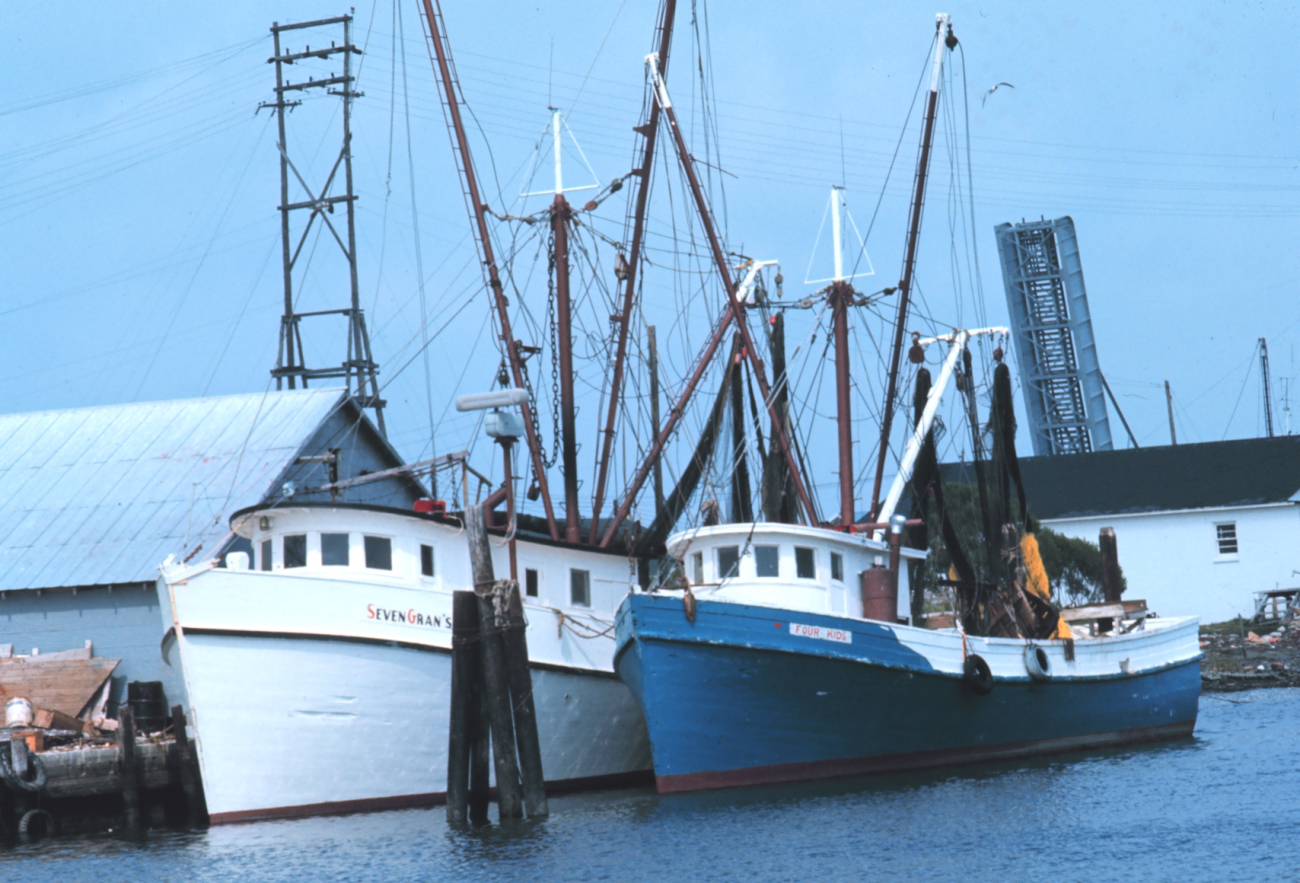 Shrimp boats at the pier
