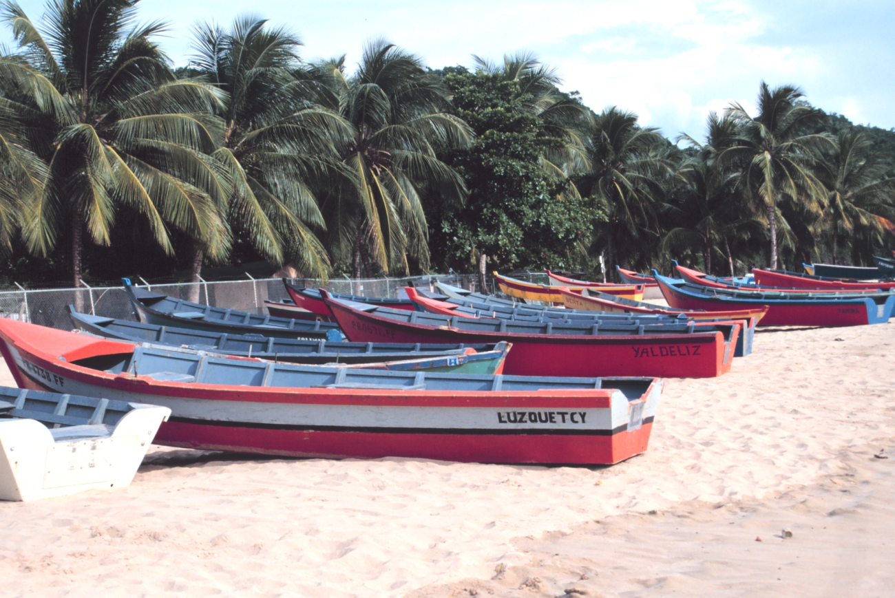 Part of the fleet of small sturdy fishing boats that operate from the beach