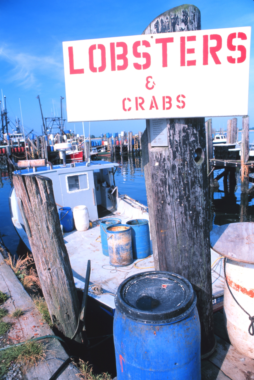 Part of the inshore lobster fleet