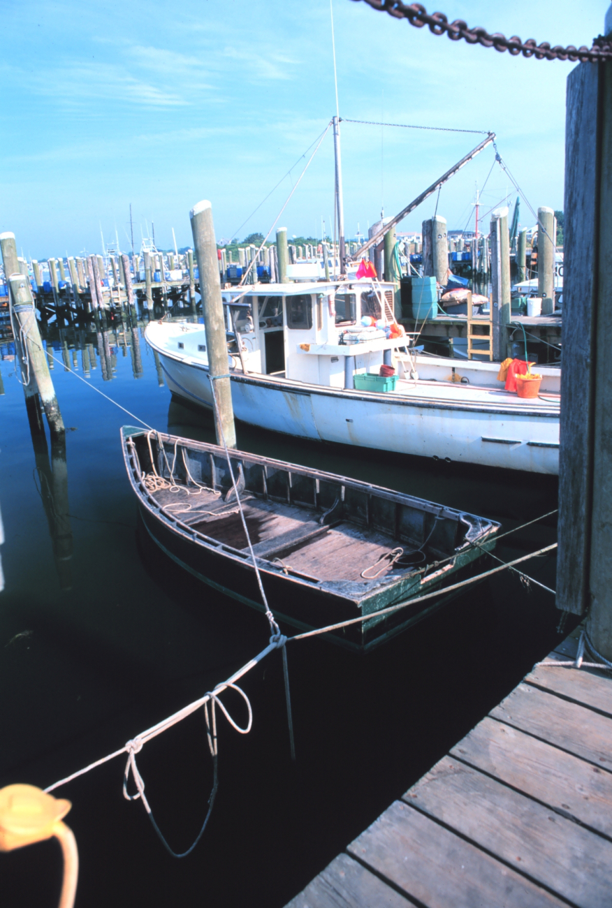 Part of the inshore lobster fleet