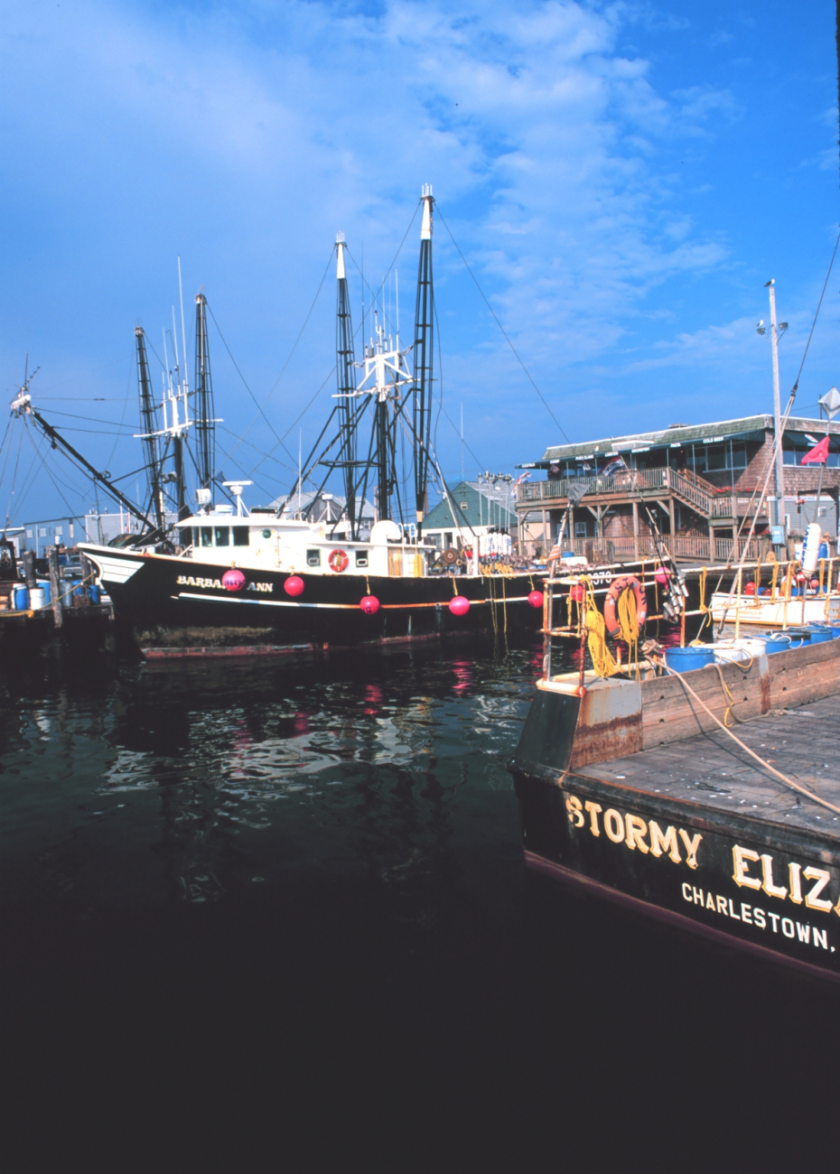 The STORMY ELIZABETH and BARBARA ANN are offshore lobster boats