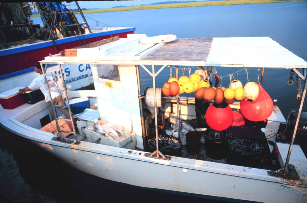 A shark fishing boat at Crosby's Fish & Shrimp Company pier