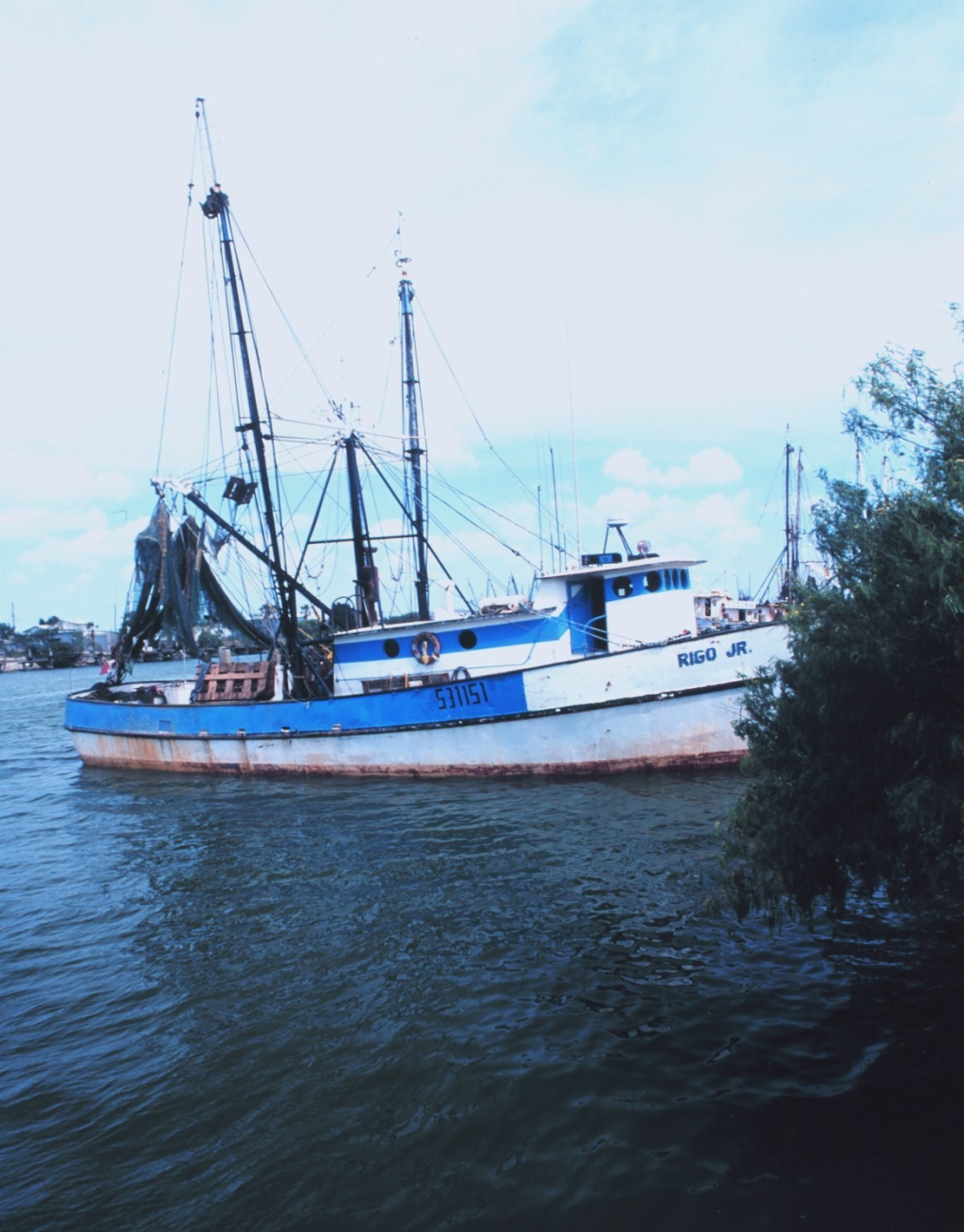 Shrimp boats in the Shrimp Basin