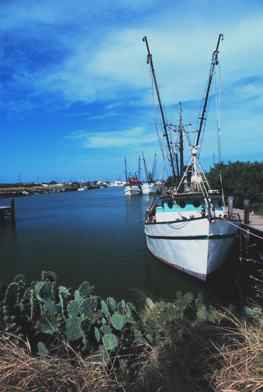 Shrimp trawlers and cactus - a seemingly incongruous but normal sight in southTexas