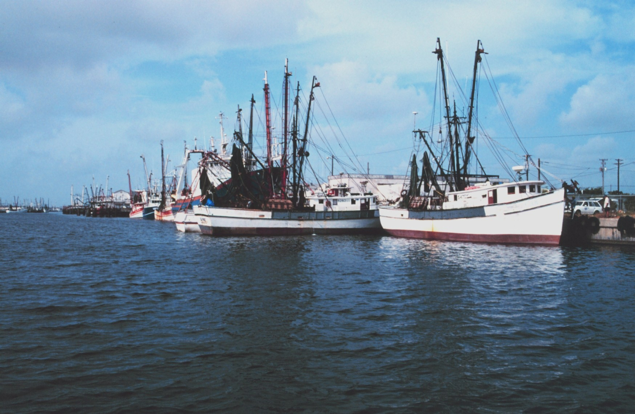 Shrimp boats tied up at Conn Brown Harbor