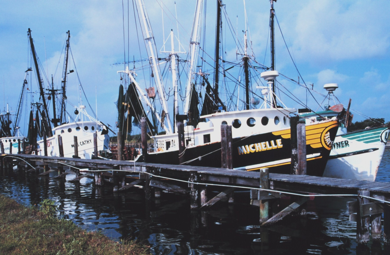 Shrimp boats tied up at Conn Brown Harbor