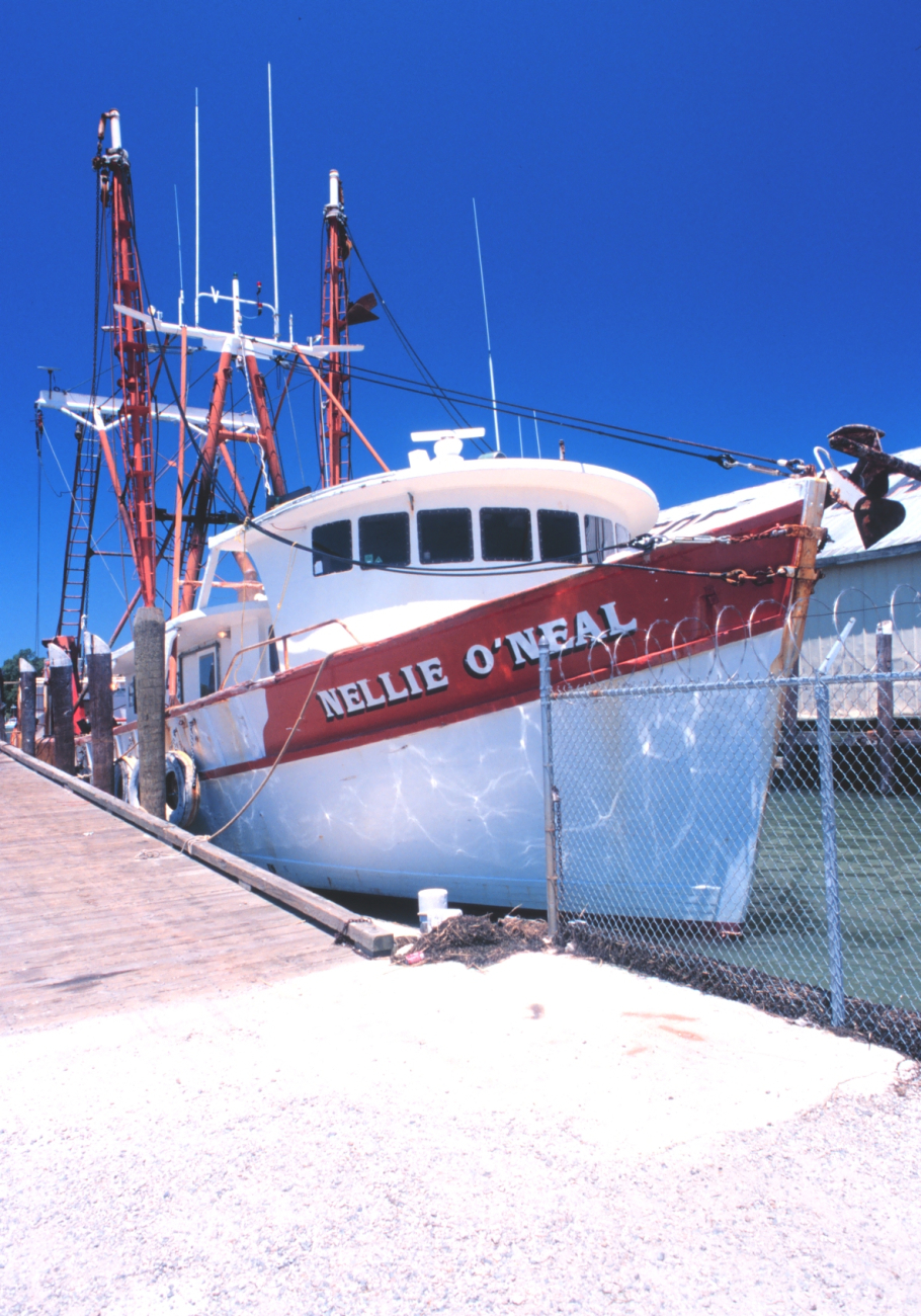 The O'Neil fleet of scallop dredgers