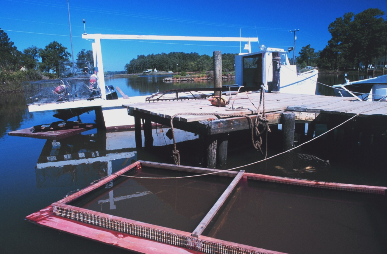 A blue crab boat and crab holding pens at Fleet's Island