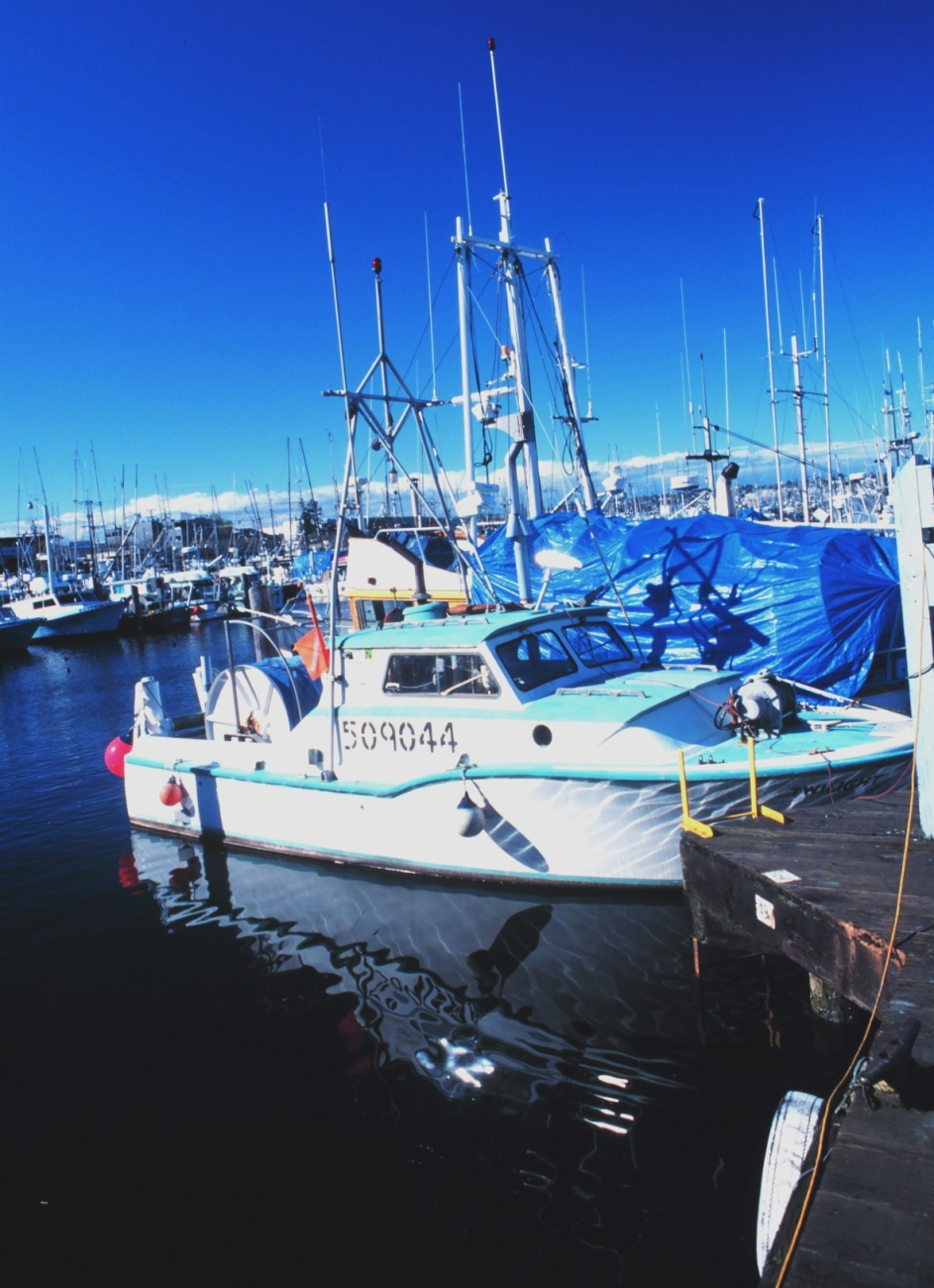 Fishing vessels at Fishermen's Port