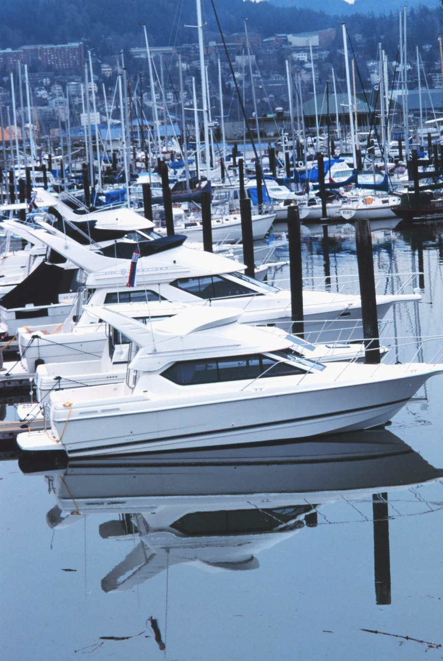 Recreational fishing vessels at Squalicum Harbor