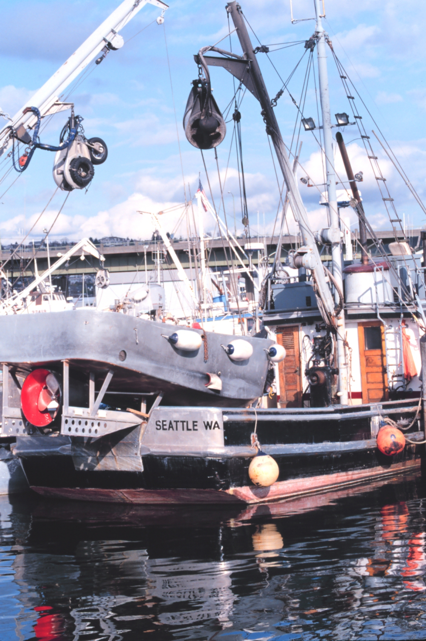 Fishing vessels at Fishermen's Port