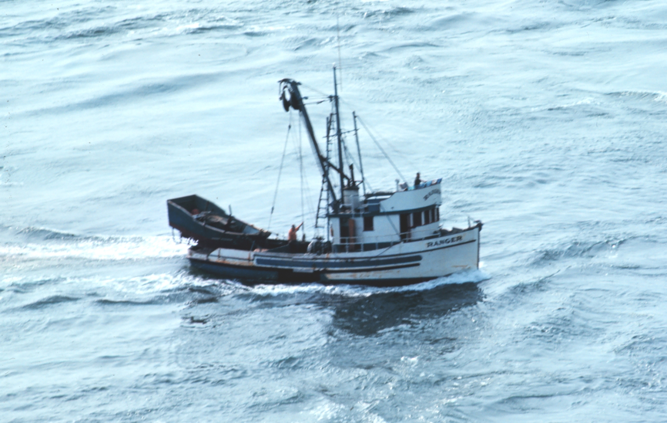 A purse seiner in Deception Pass