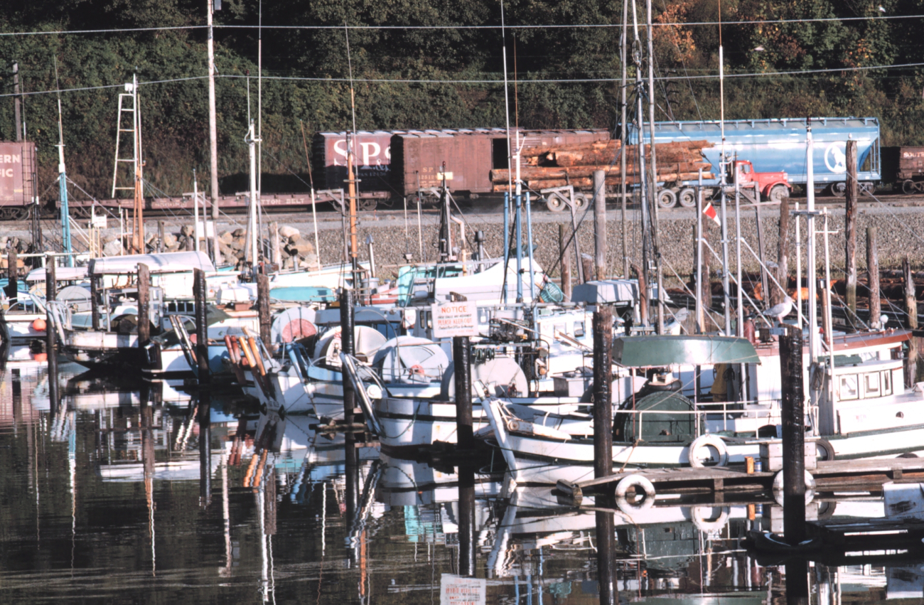 Part of the fishing fleet at Everett