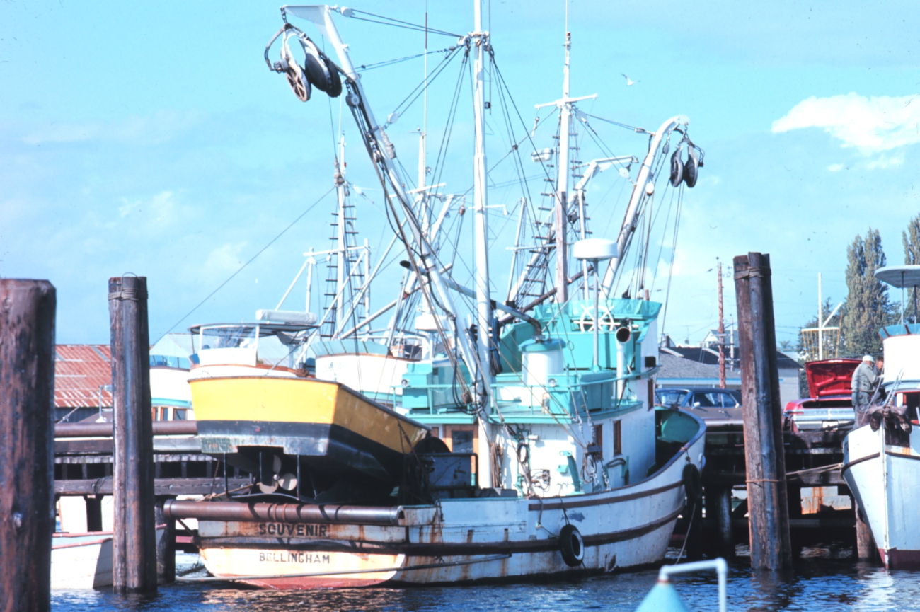 Stern view of a purse seiner