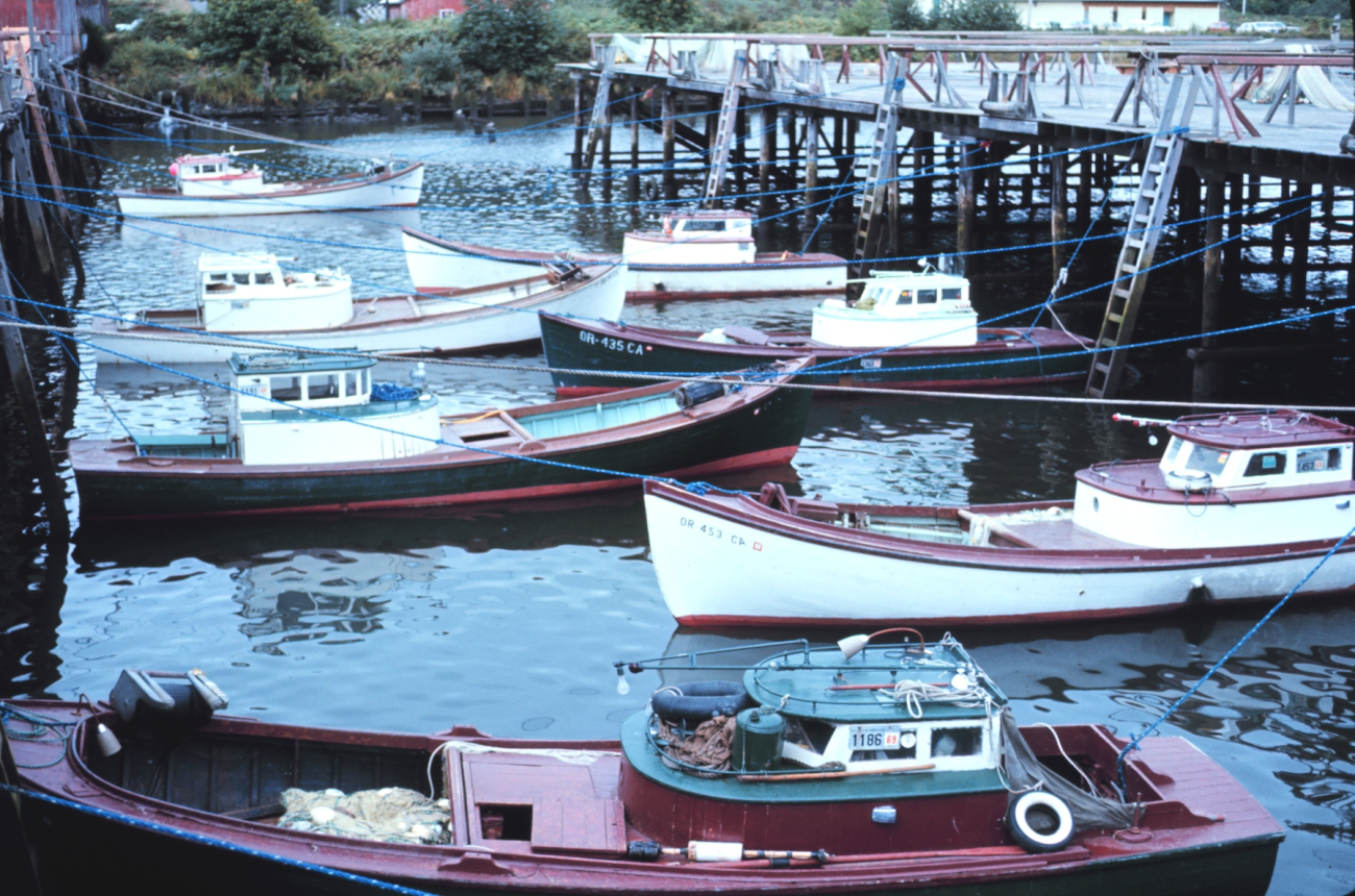 Salmon gillnetters at Astoria on the Columbia River