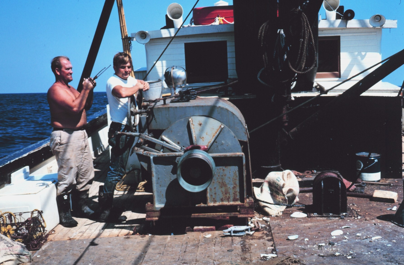 Operating the winch on a clam dredger