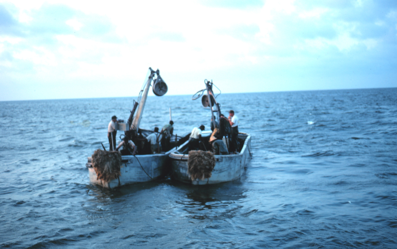 Menhaden fishing - Preparing to deploy net during two-boat purseseining operation