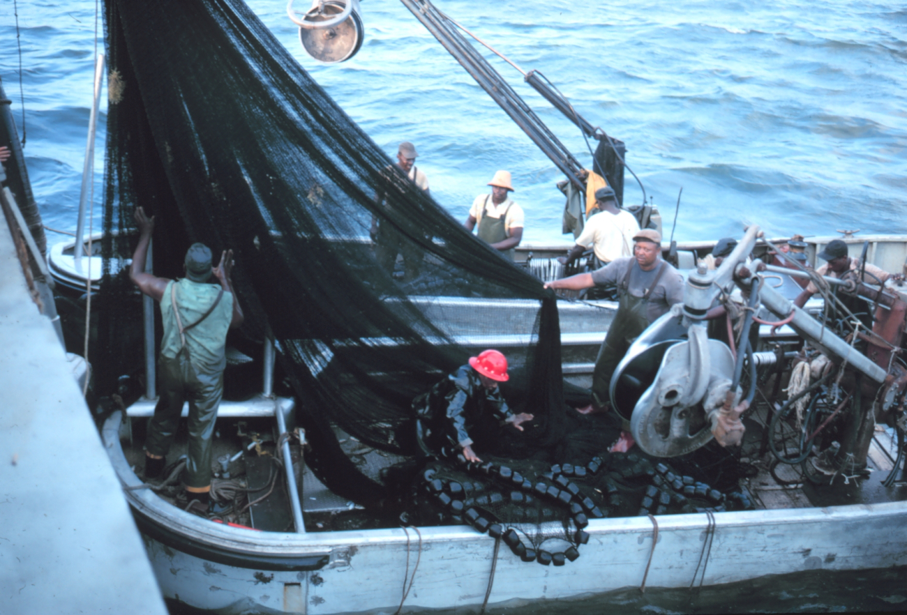 Menhaden fishing - securing the nets after a day's fishing