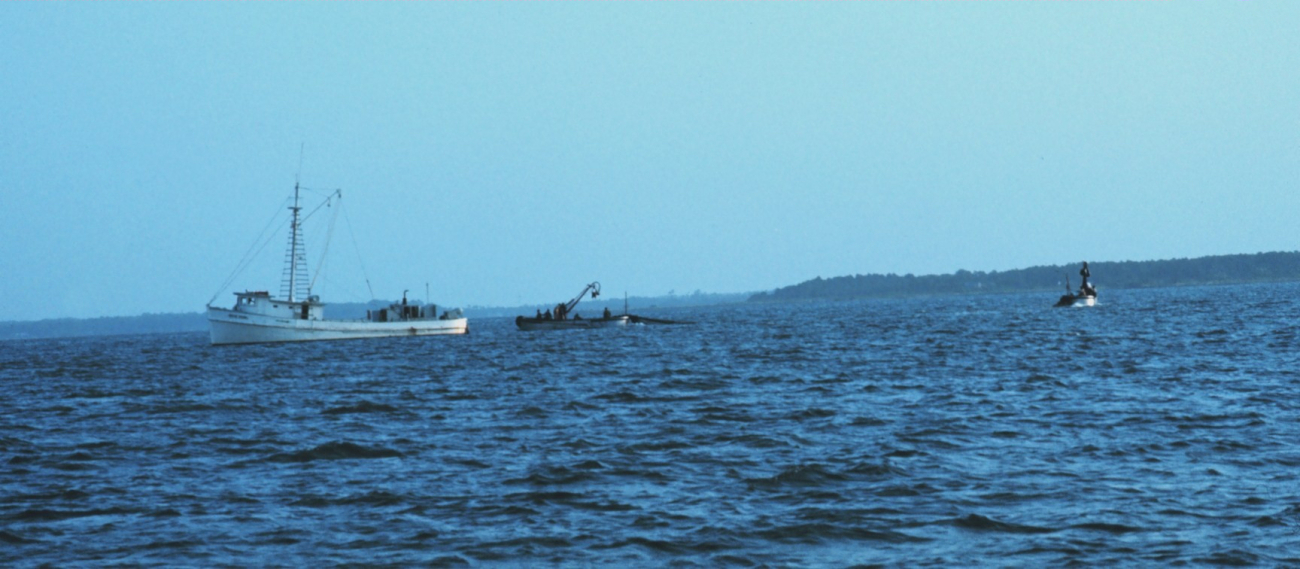 Menhaden fishing - mother vessel and purse seiner boats