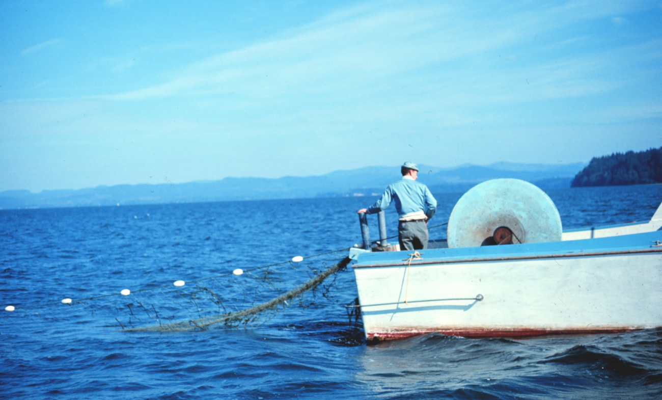 Gillnet fishing for salmon on the Washington coast