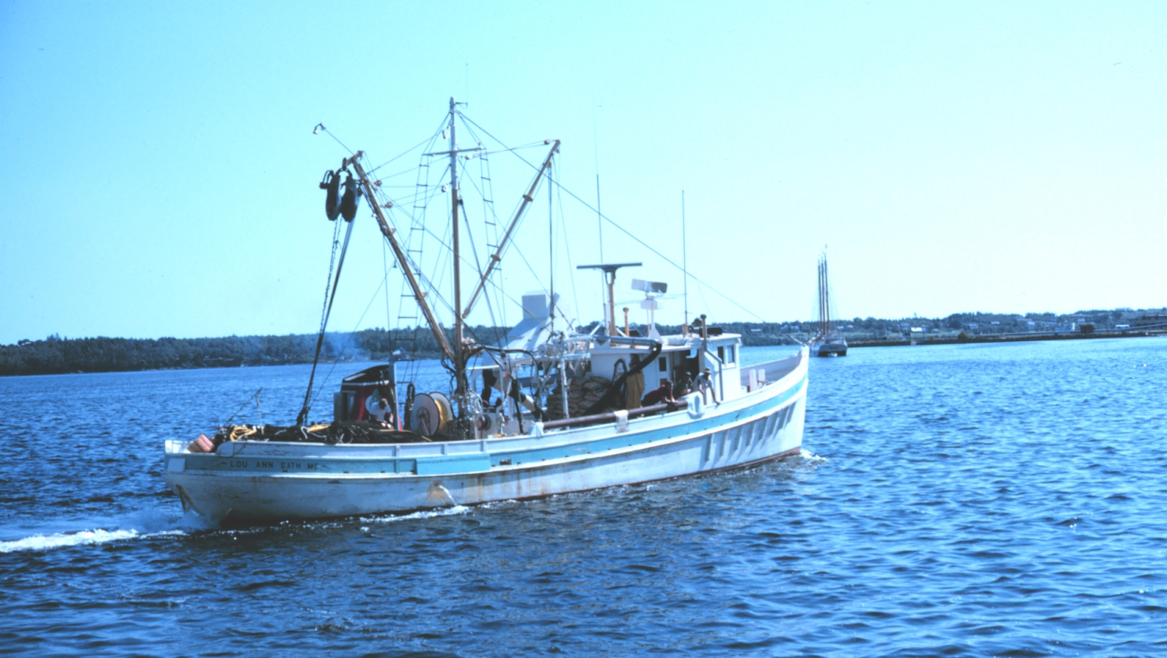 The purse seiner LOU-ANNE