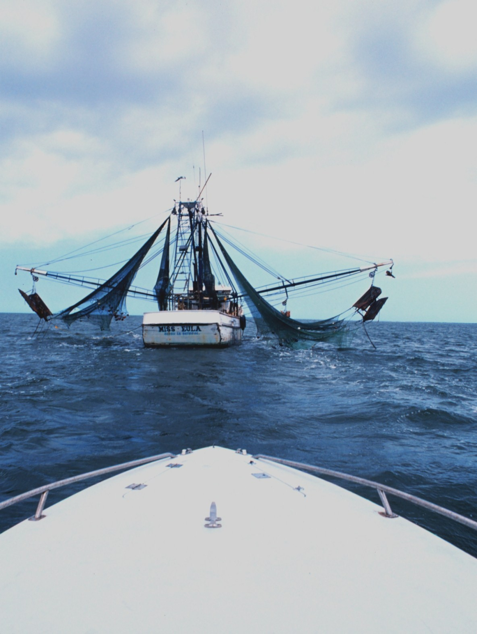 Nets and otterboards hanging outboard on the MISS EULA, a Vietnamese-Americanowned shrimp trawler operating in the Gulf of Mexico