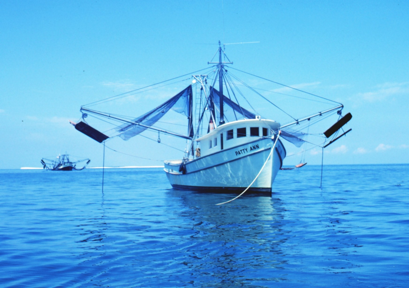 A double rigged shrimp trawler with nets and otterboards hanging outboard