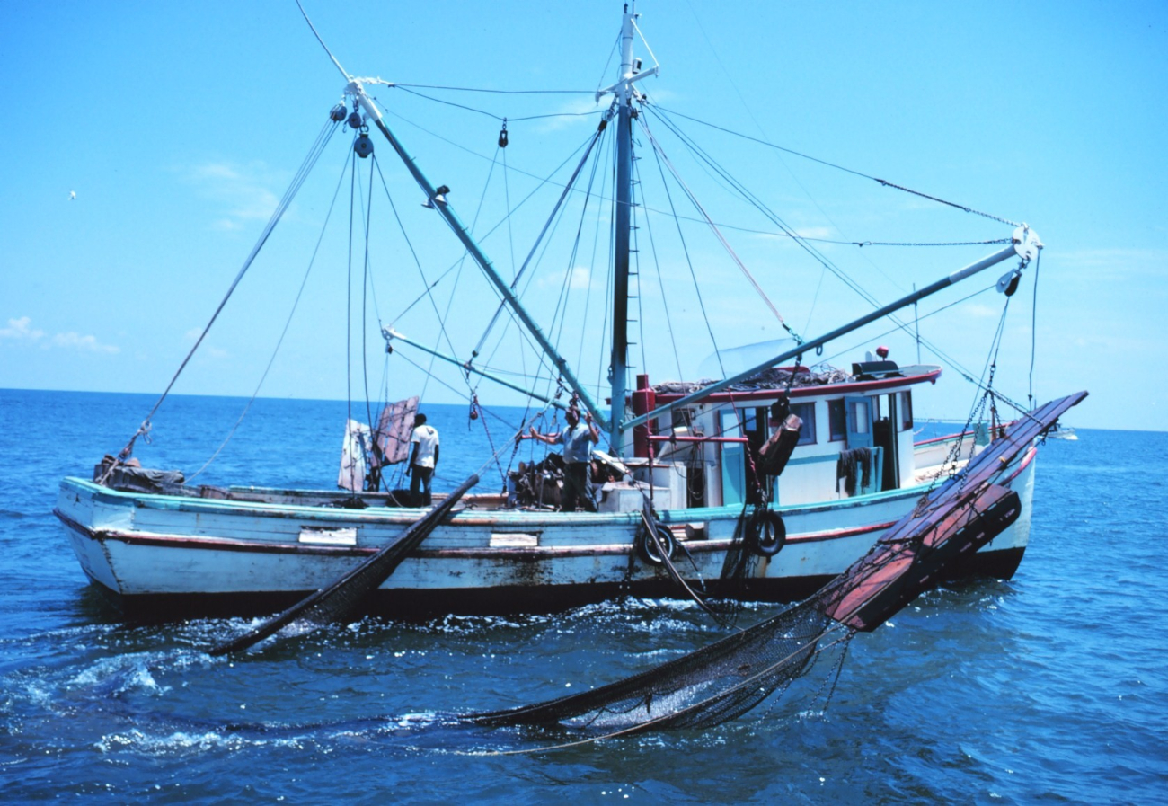 A double-rigged shrimp trawler with one net up and the other being broughtaboard