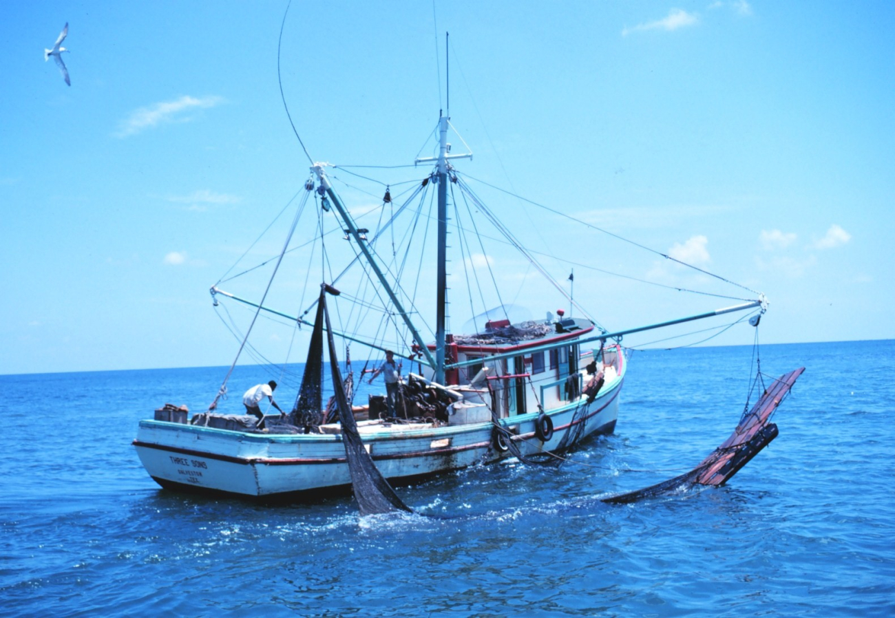 Double-rigged shrimp trawler with bag of one net on board
