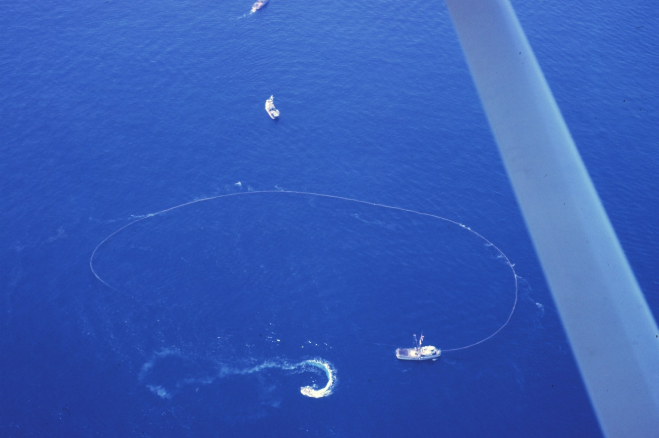 A tuna seiner circling a school of tuna as seen from a spotter aircraft