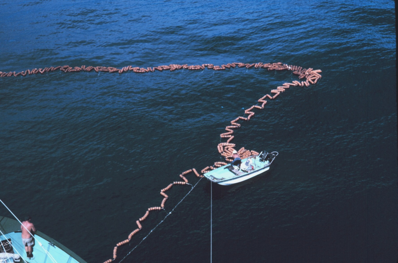 Purse seine being closed prior to harvesting the tuna