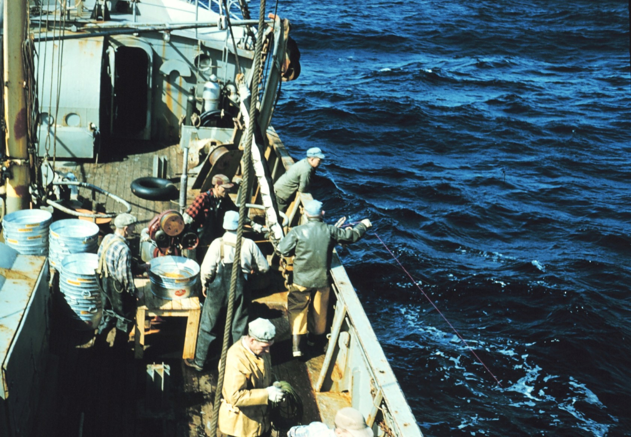 A tuna longlining operation