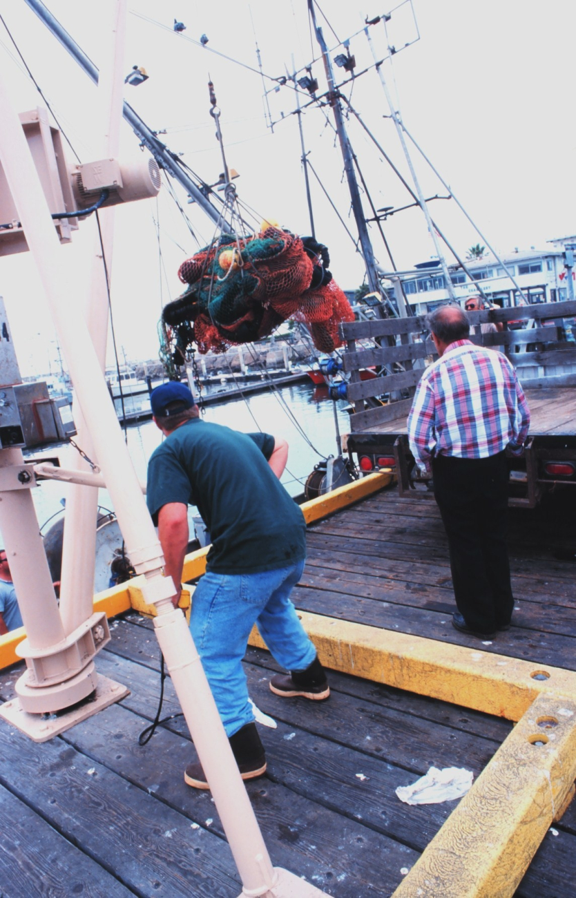 Hoisting used nets for maintenance and preparation for another cruise