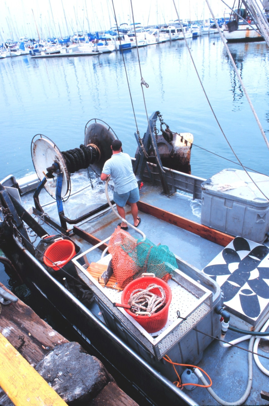 Washing down the decks - a mariner's work is never done