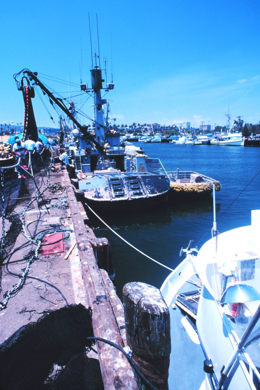 Tuna boat tied up at San Pedro maintaining gear