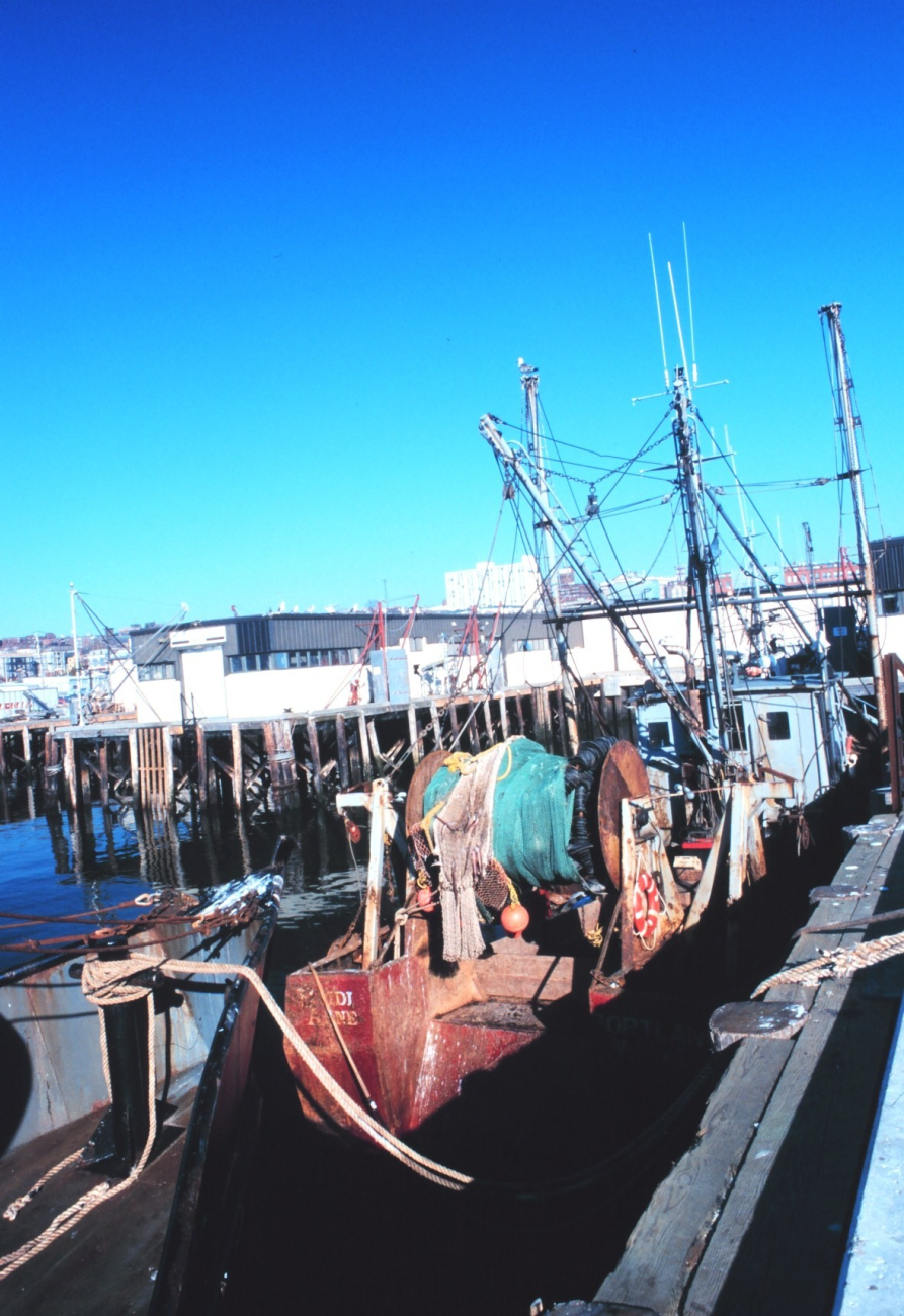 Groundfish trawlers tied up at the Portland Fish Exchange