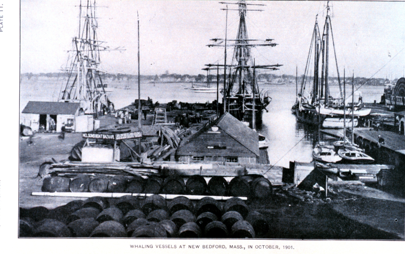 Whaling vessels at New Bedford, Massachusetts, in October 1901