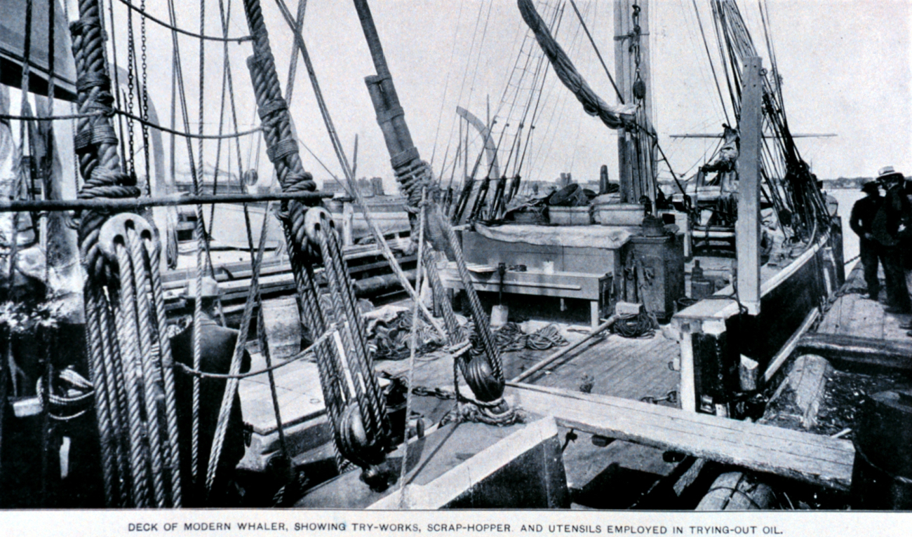Deck of modern whaler, showing try-works, scraphopper, and utensils employed intrying-out oil