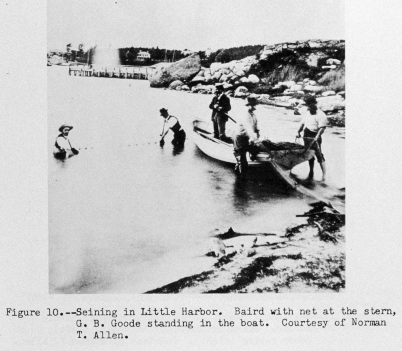 Spencer Fullerton Baird and George Brown Goode seining in Little Harbor