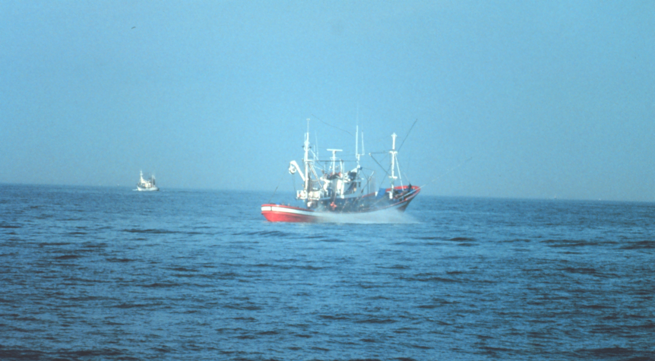 Pole and line fishing boat above a school of tuna