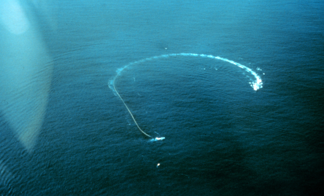Helicopter eye view of ship pulling net in circle to capture tuna