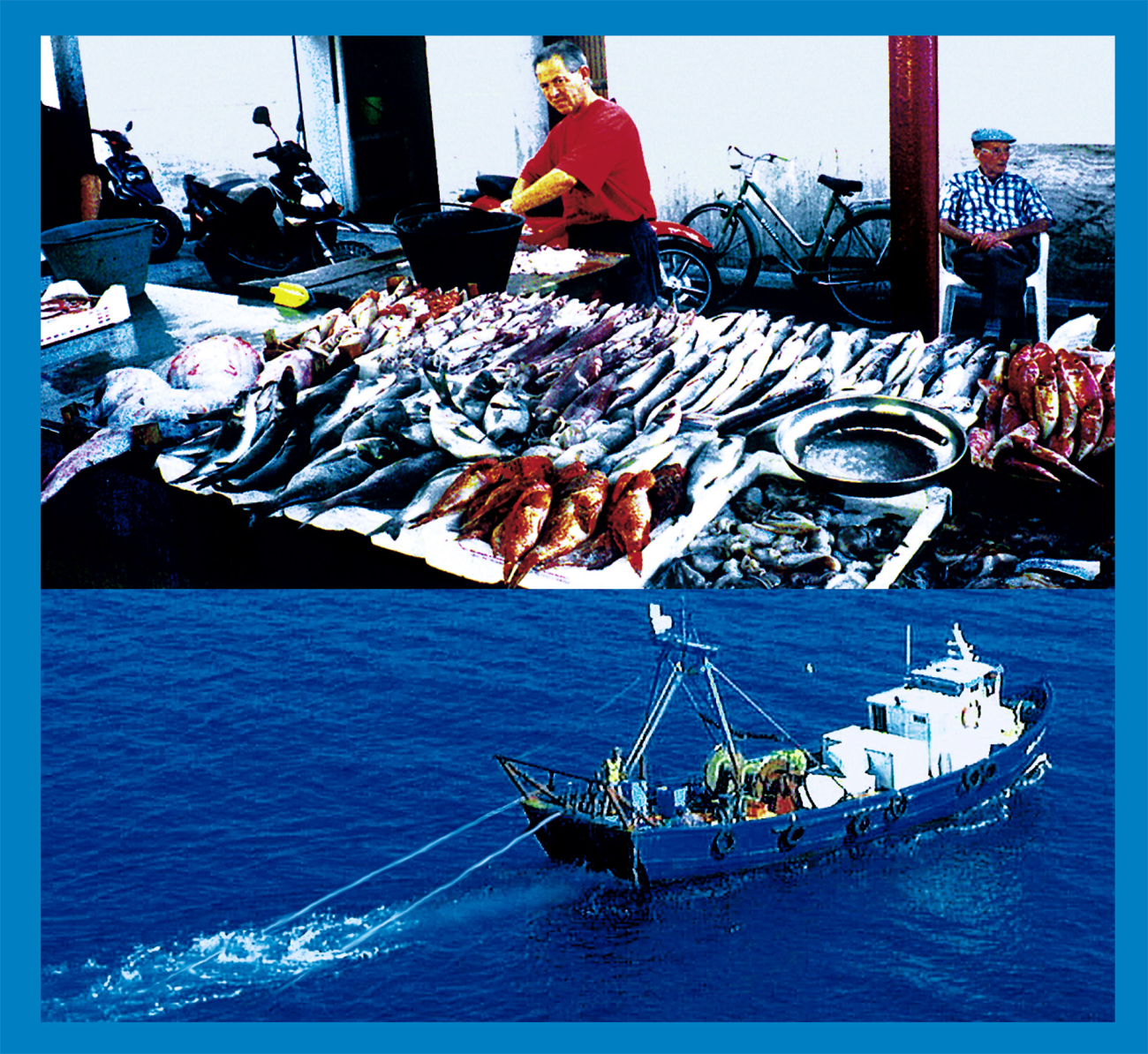 Demersal Fisheries:  Species living near the bottom are exploited by trawlers