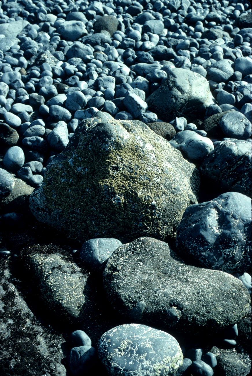 Boulders and cobbles at the high tide line