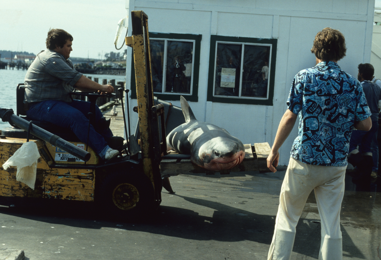 Great white shark (Carcharodon carcharias) caught by fisherman in small boatclose to Bodega Bay study area